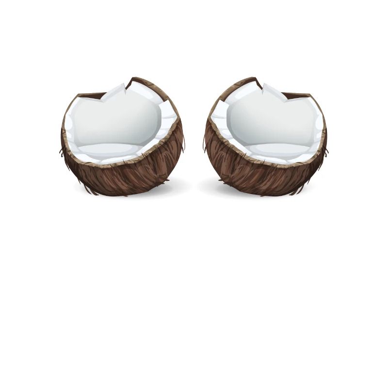 Costume de soutien-gorge de plage bikini coco noix de coco carnaval
