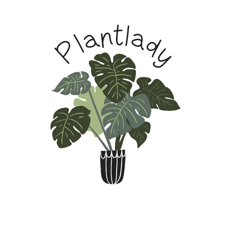 Plantuleuse plante succulente