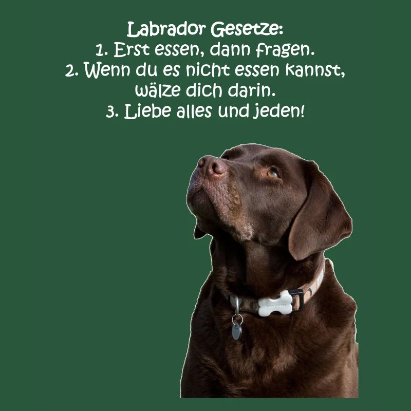 Die Gesetze eines Labradors