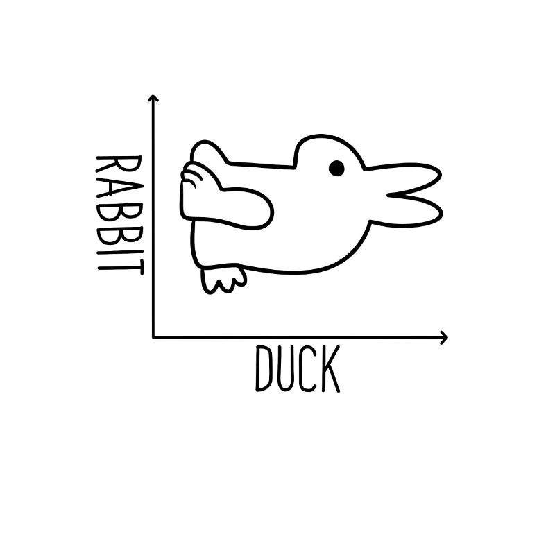 Duck x rabbit graph irony
