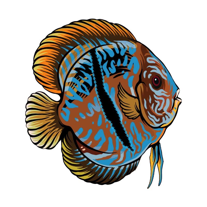 Diskusfisch Diskus Aquarianer Geschenk Aquarium