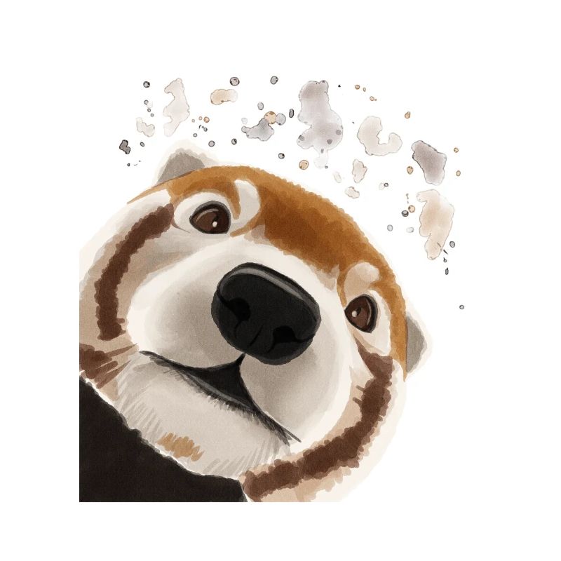 Neugieriger Roter Panda