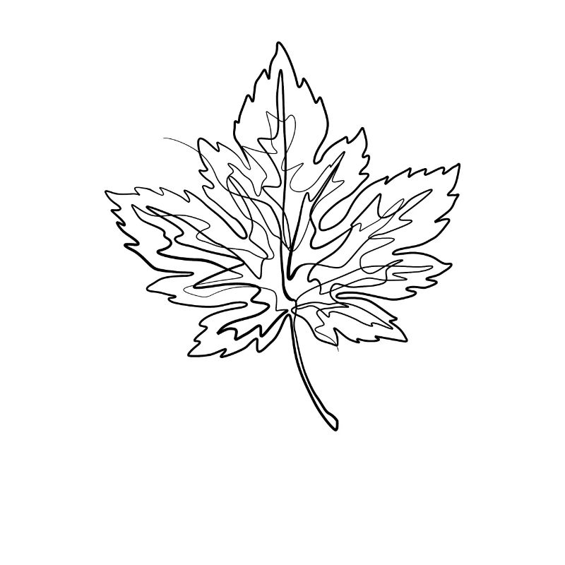 Maple maple leaf - one line drawing