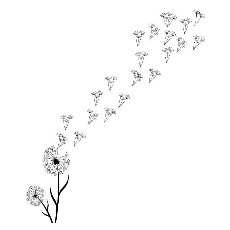 Löwenzahn Pusteblume