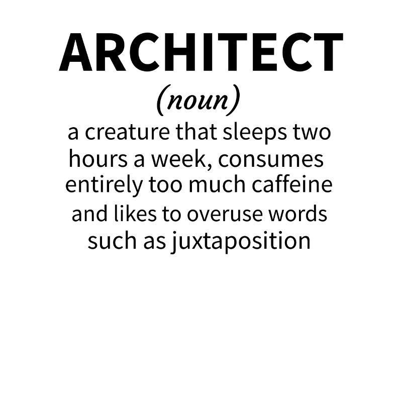 Architecture Gift Architecture Student Architect