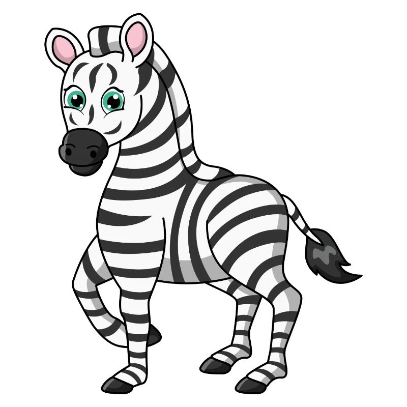 zebra