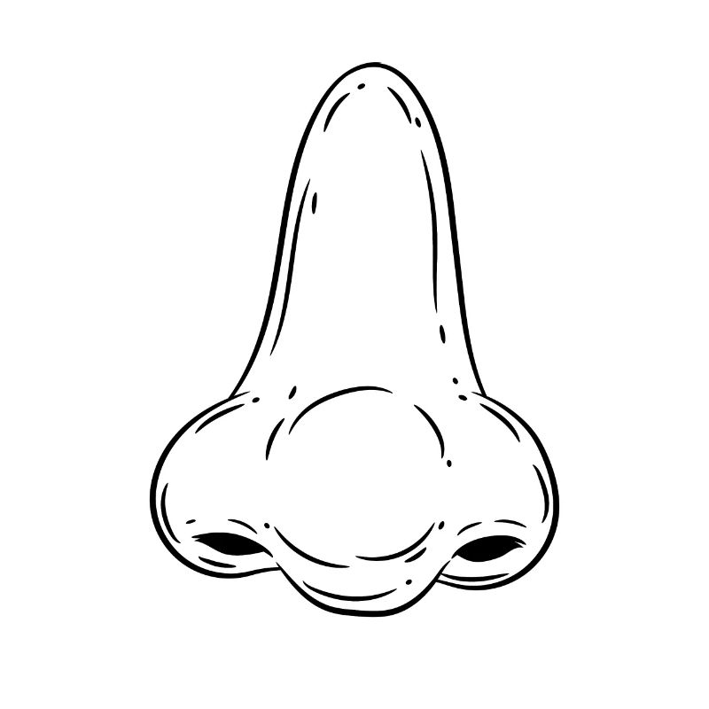 Nase