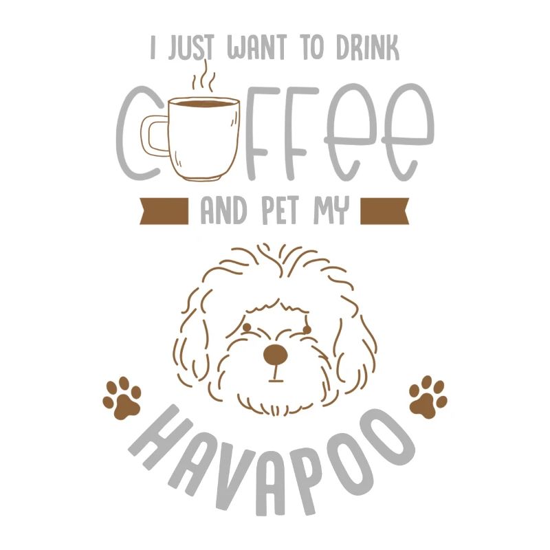 havapoo, havapoo Havanese, poodle,