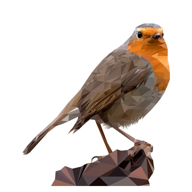Robin Design, Polygone de l’oiseau de l’année 2021