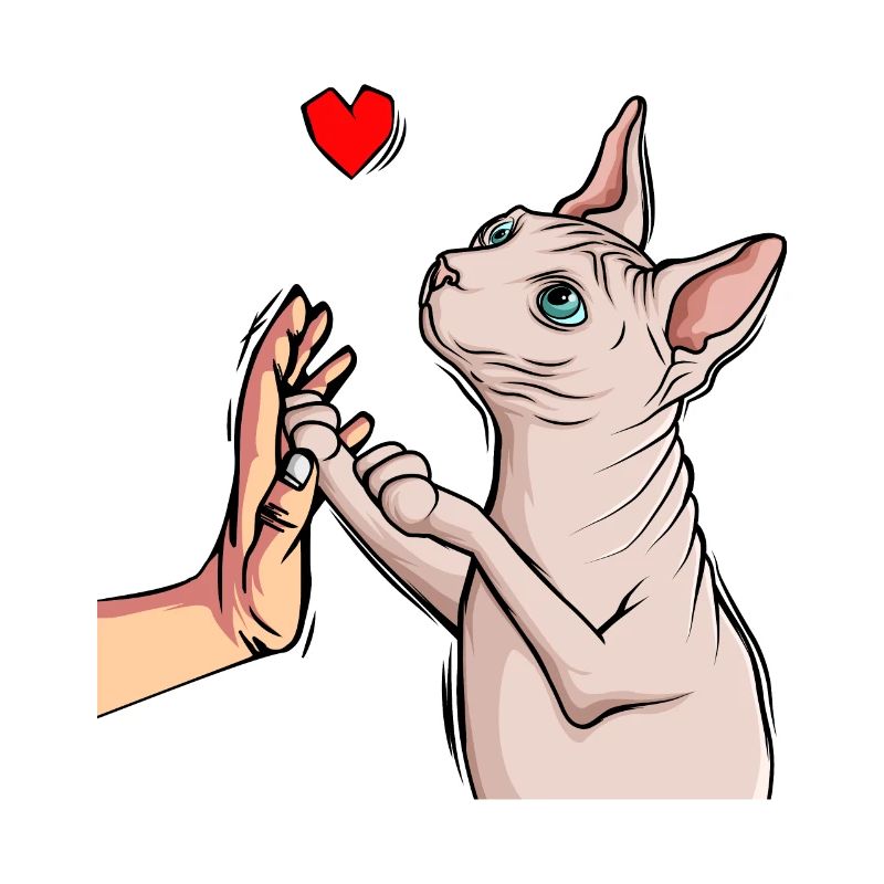 Sphynx Katze Sphinx Nacktkatze