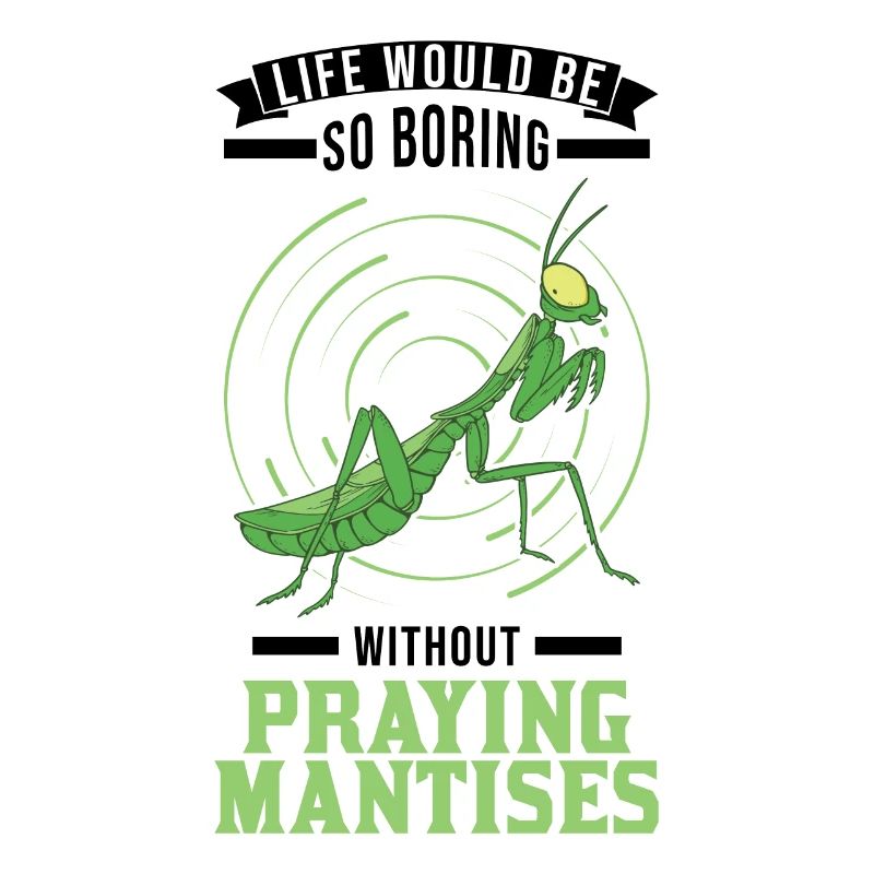 Gottesanbeterin Praying Mantis Fangschrecke