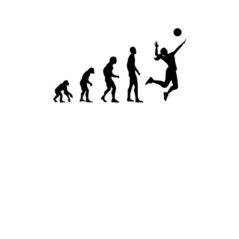 Volleyball Evolution