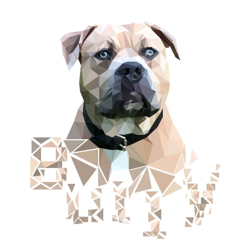 American Bully Farbe