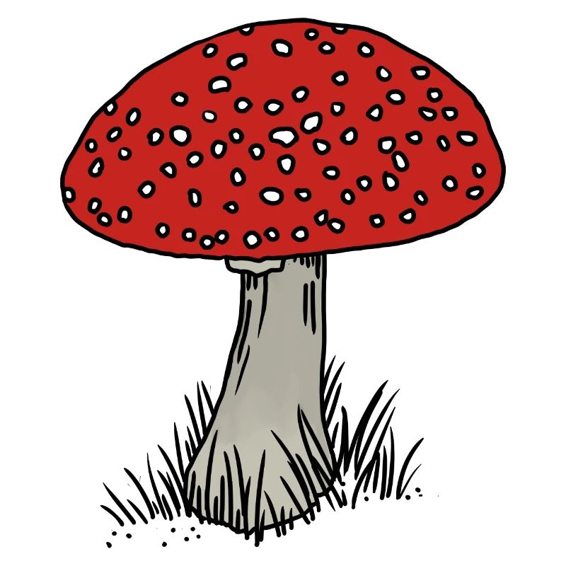 Toadstool coloré