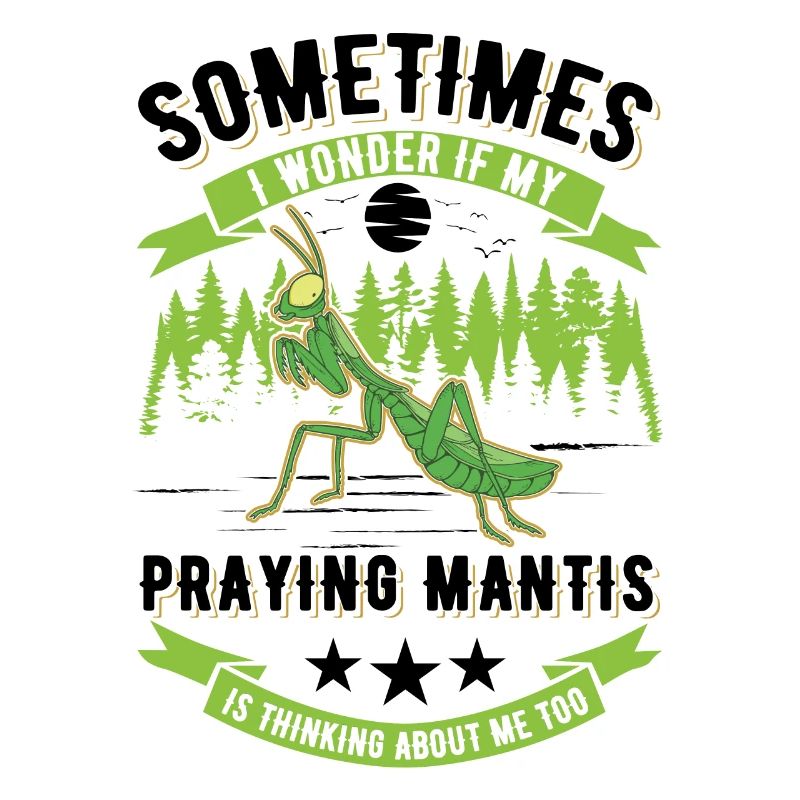 Praying mantis Gift Mantis Mantis