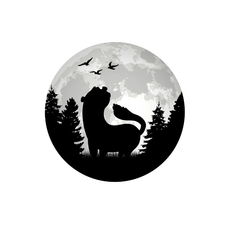 Frettchen Mond Ferret Wiesel