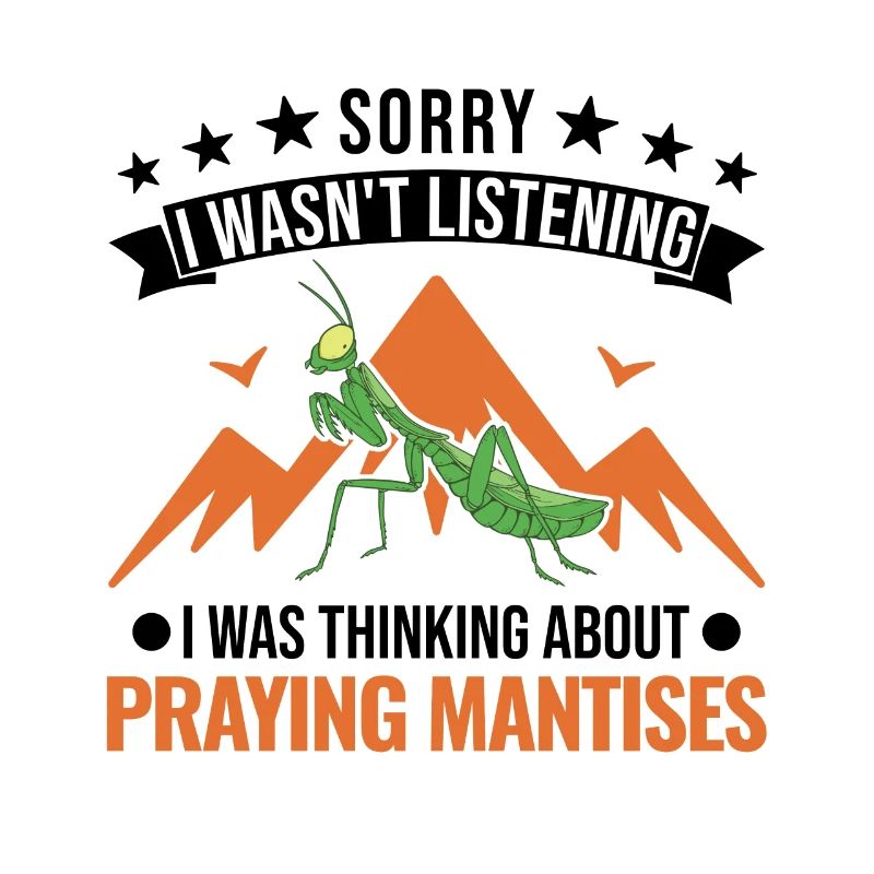 Gottesanbeterin Geschenk Mantis Fangschrecke