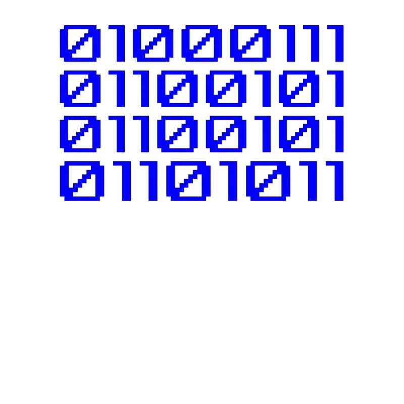 Funny Coder Binary Code Programmer Developer