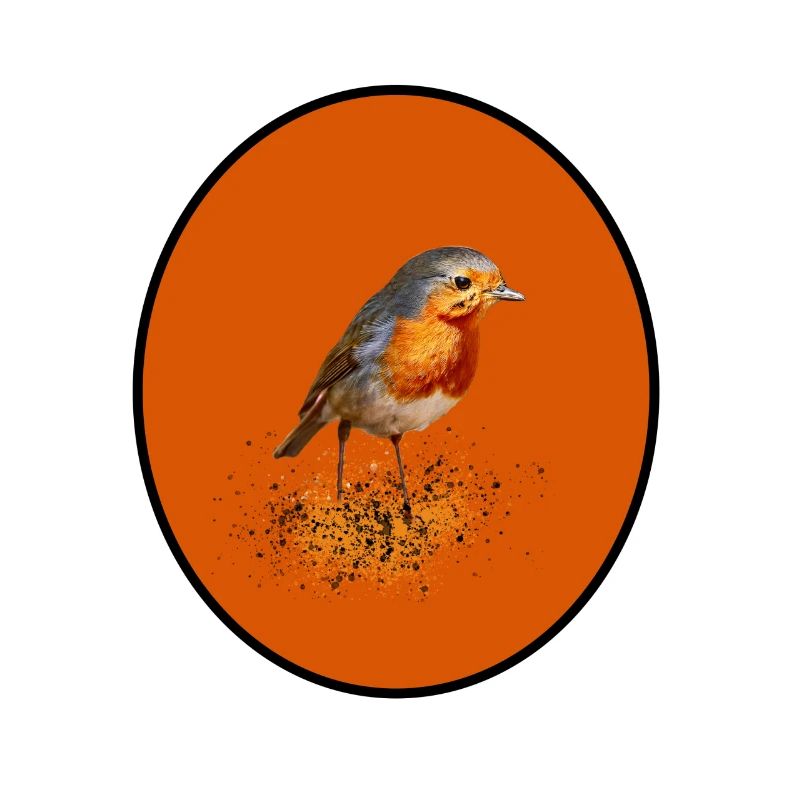 cute robin / Robin with orange