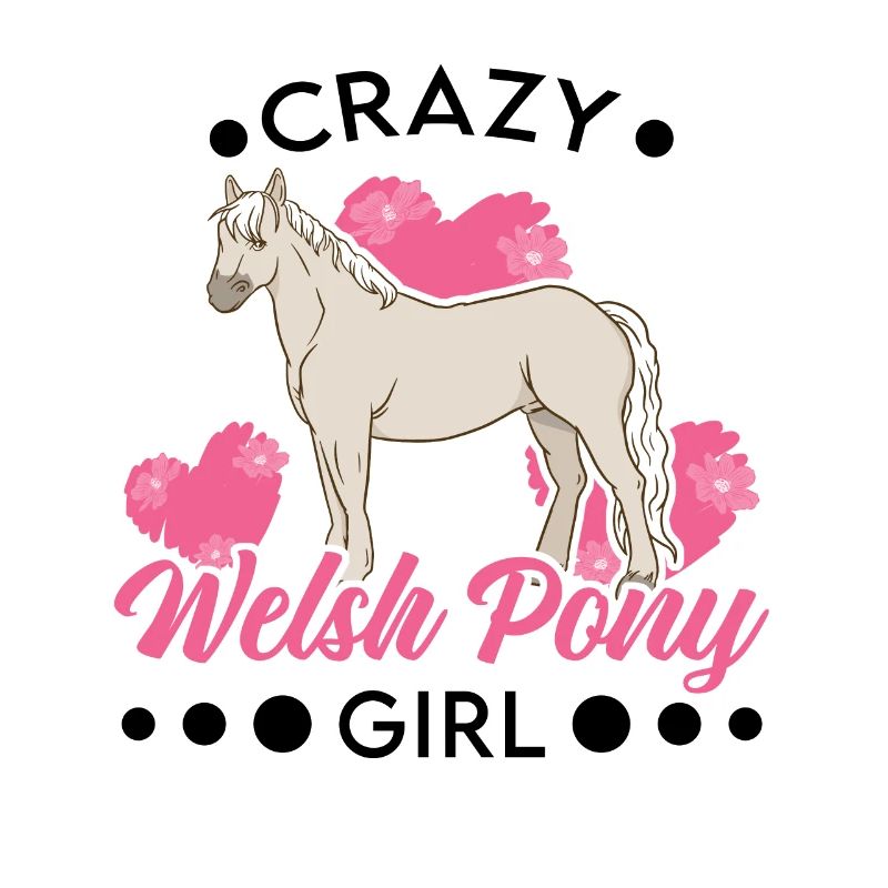 Verrücktes Welsh Pony Mädchen