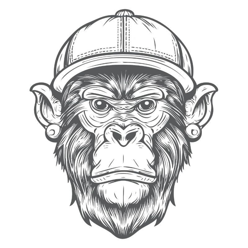 Funky Monkey