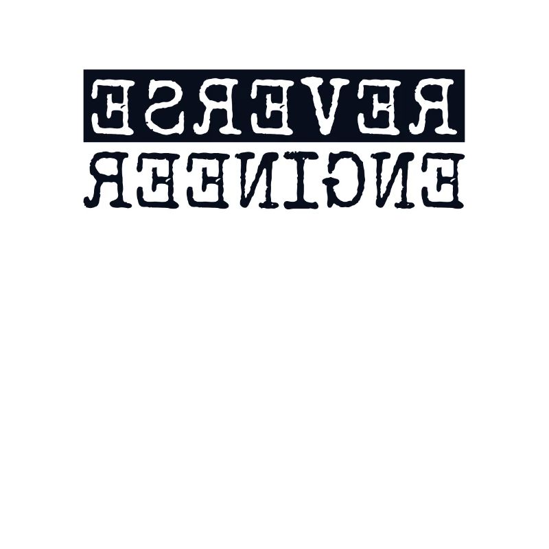 Reverse Engineer Software Engineer Developer