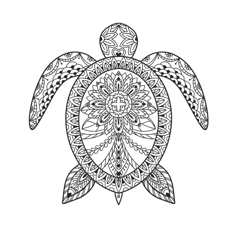 Schildkröte