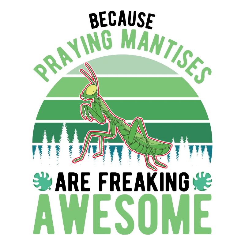 Praying Mantis Mantis Mantis