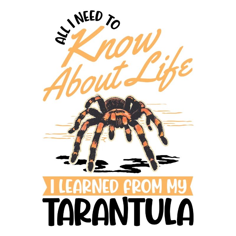 Tarantel Spinne Tarantula