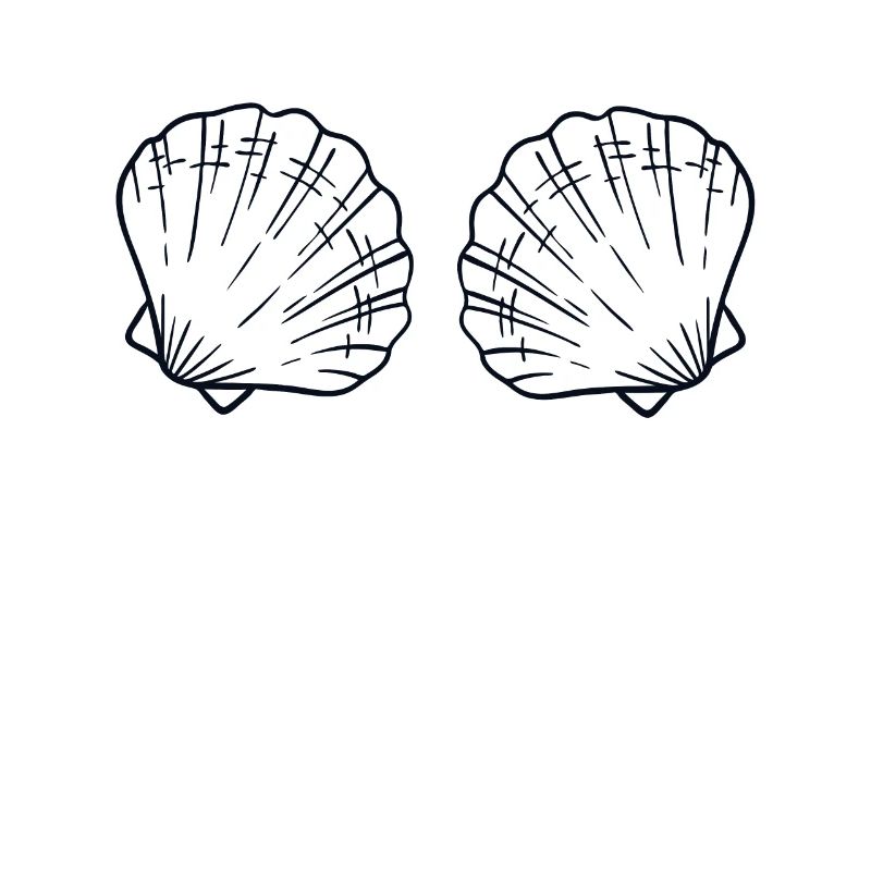 Seashell Bra BH Shell Shelling Bag Seashell