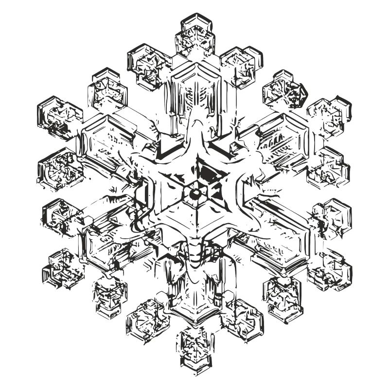 snowflake 9 black