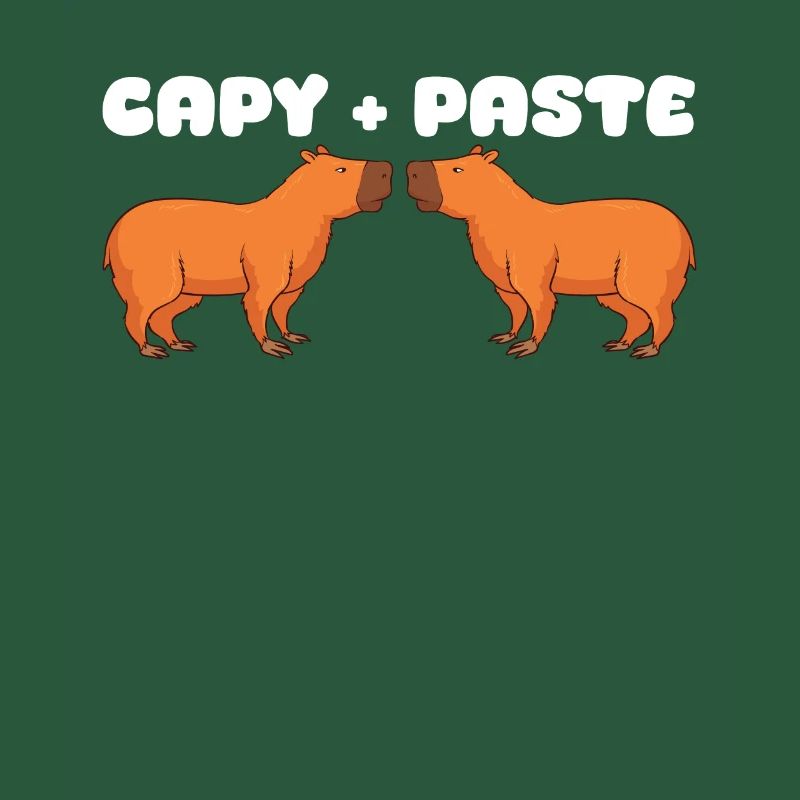 Programmeur Wombat Software Ordinateur PC