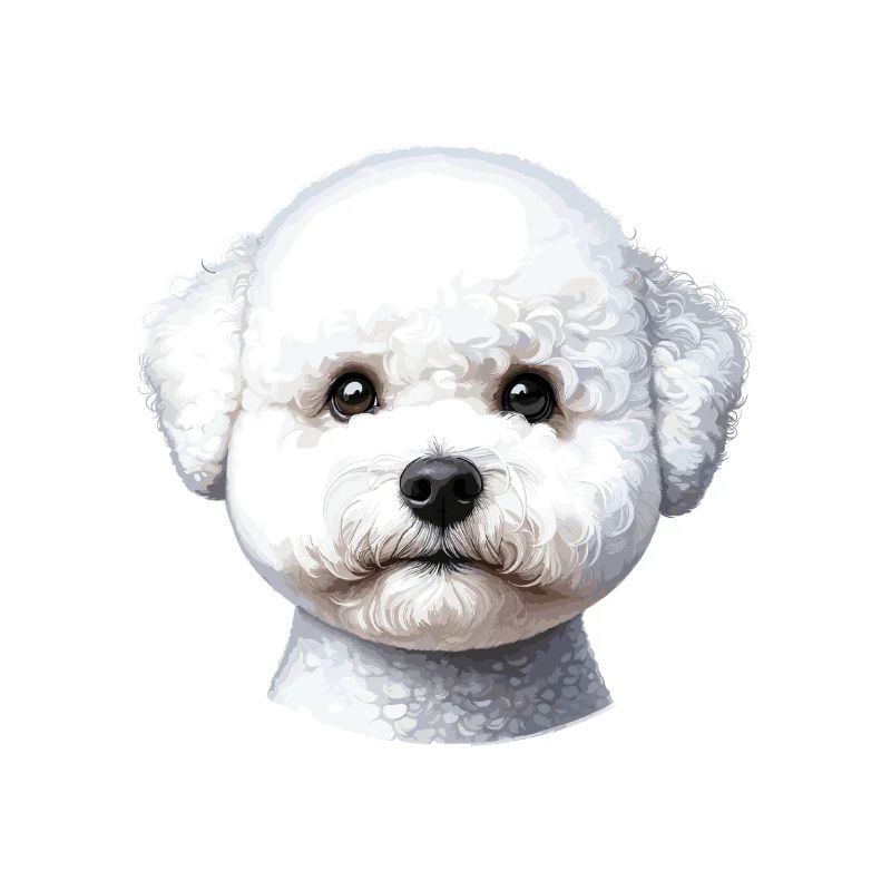 Dog Face - Bichon Frisé