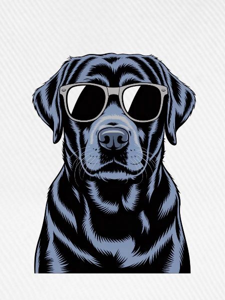 Schwarzer Labrador 
