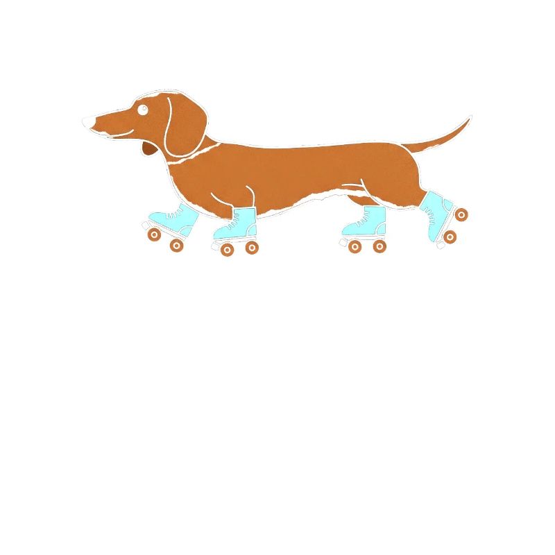 Dachshund on roller skates