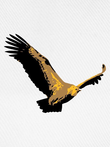 Vulture