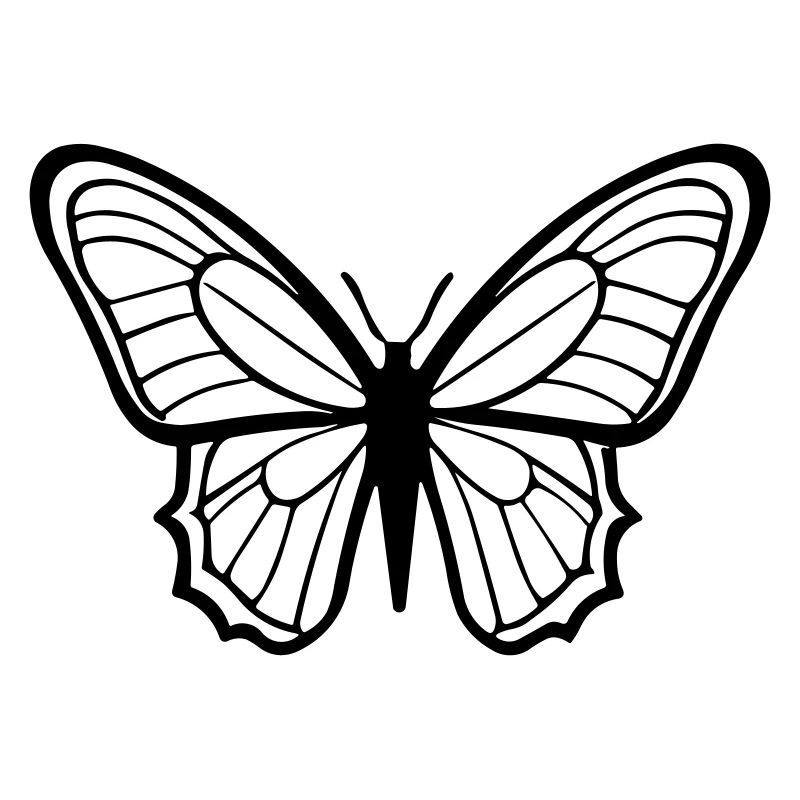 Petit papillon