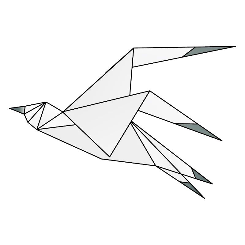 Möwe