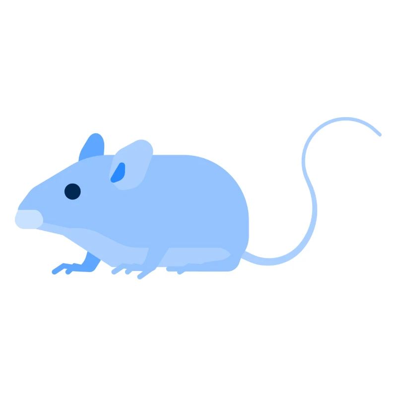 Urban - mouse