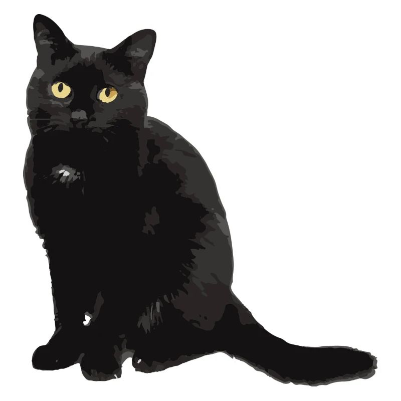 chat