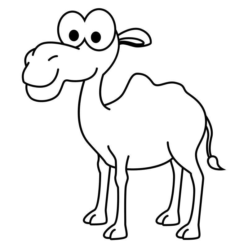 Kamel Comic