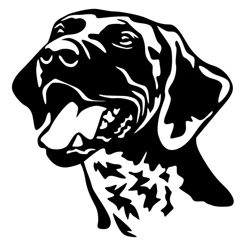 German shorthaired pointer head