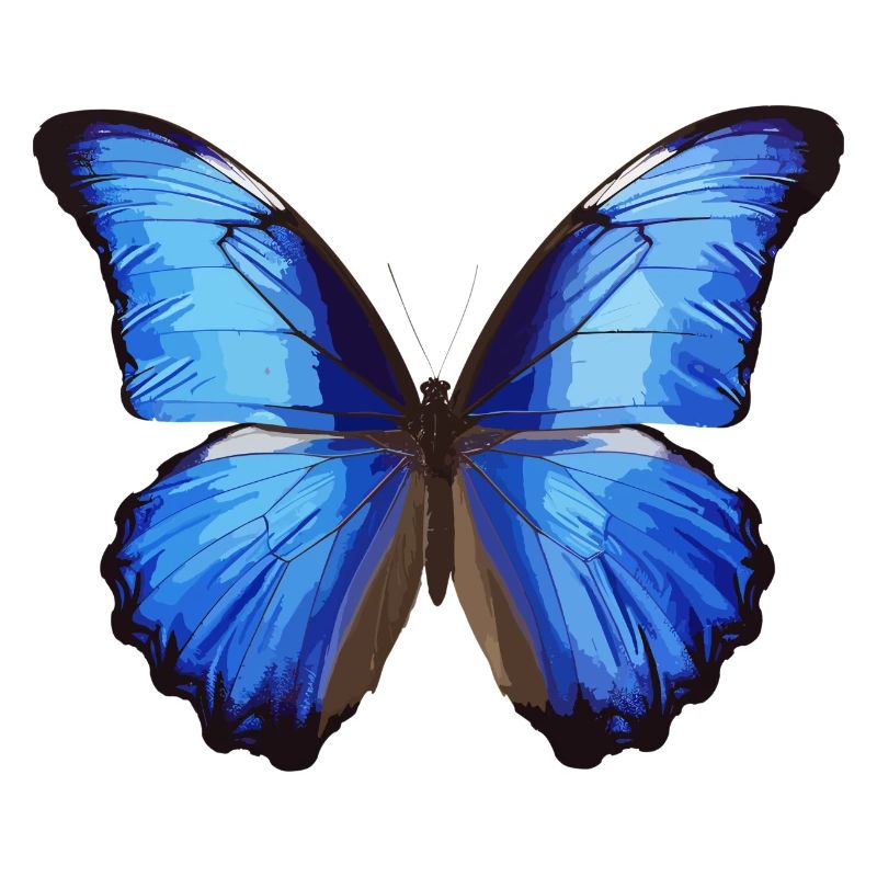 Morpho Papillon Bleu