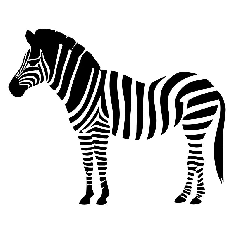 Little Zebra