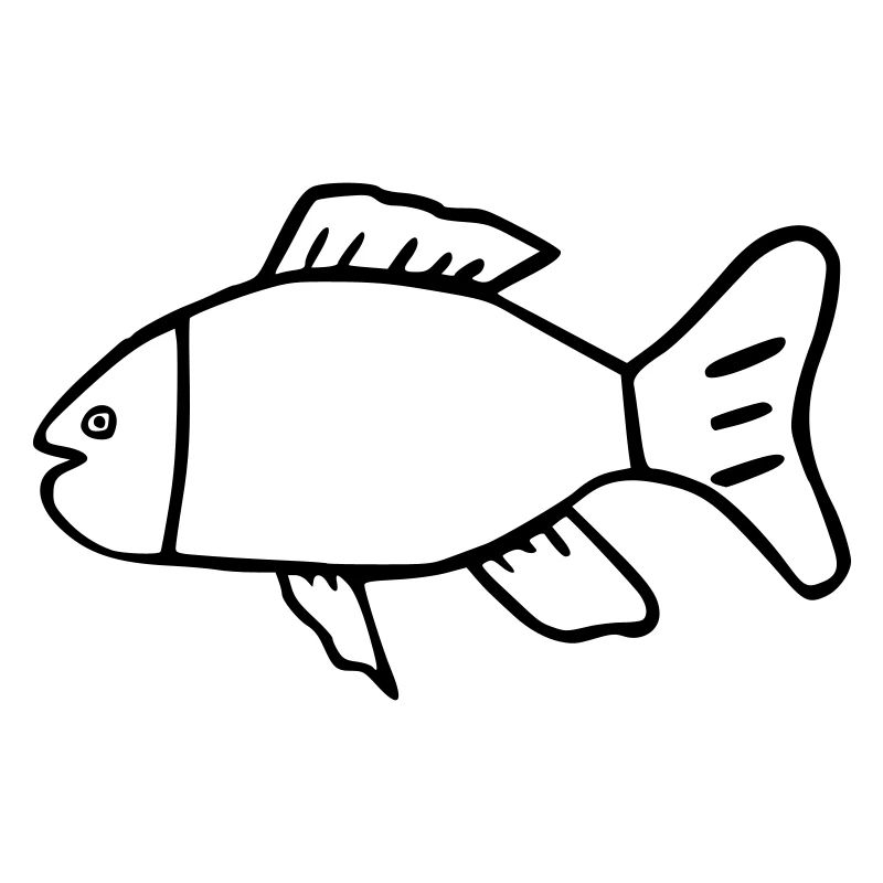 Fisch