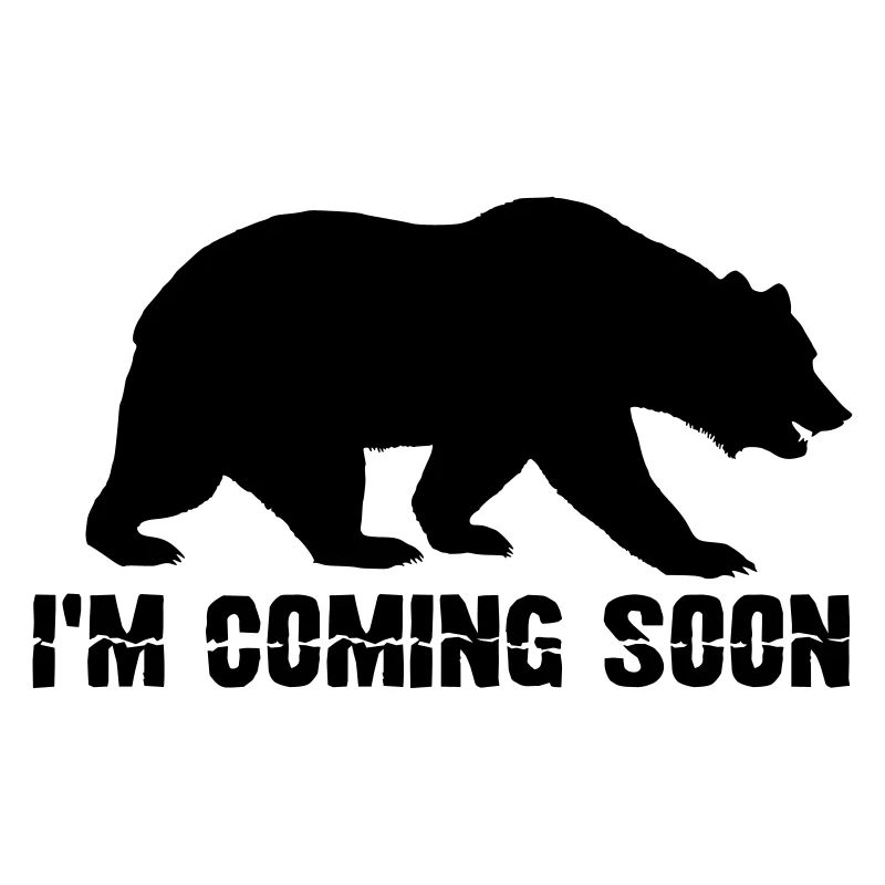 Bear Brown Bear Bears