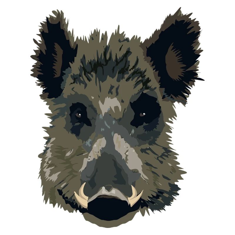 Wilsau oder Wildschwein als Geschenk