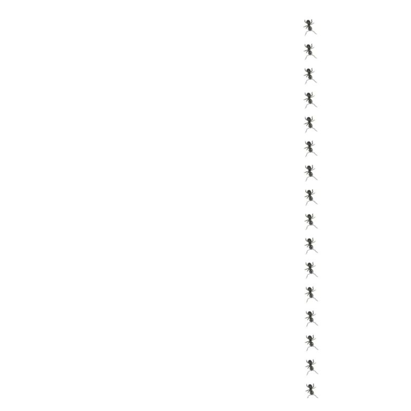 Fourmi minimalisme conception simple fourmi