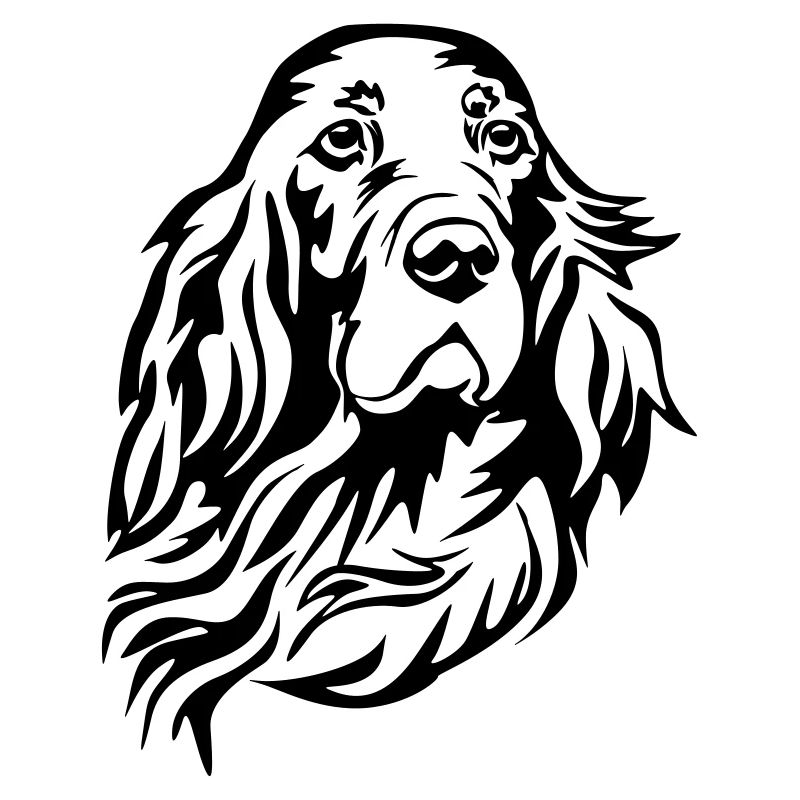 Irish Setter Kopf