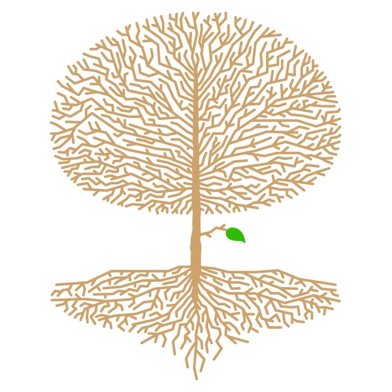 Arbre feuillu couronne forêt chêne hêtre Nature Ast Espoir